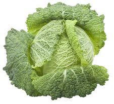 Cabbage Royalty Free Stock Photography
