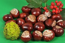 Chestnuts And Leaves, Fall Is Coming Royalty Free Stock Photos