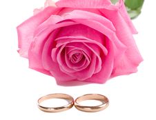 Pink Rose And Two Wedding Rings Royalty Free Stock Image Pink Rose And Two Wedding Rings Royalty Free Stock Image