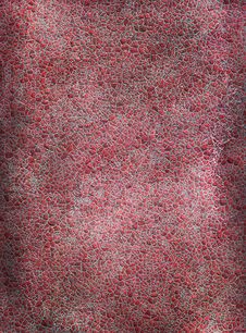 Grunge Background Royalty Free Stock Photography