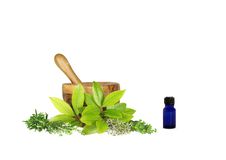 Medicinal And Culinary Herbs Royalty Free Stock Image