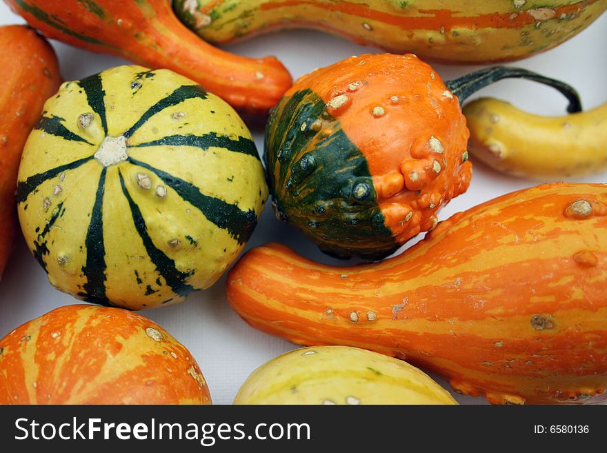 A Colorful Array of Fall Squash in Bold Oranges, Yellows, and Greens. A Colorful Array of Fall Squash in Bold Oranges, Yellows, and Greens.