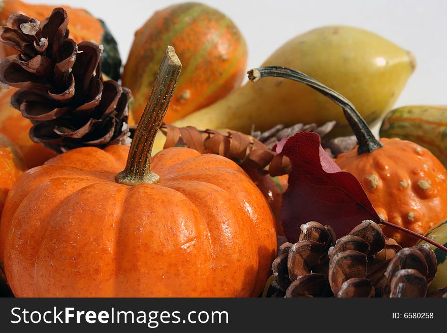 Festive Fall Gourds
