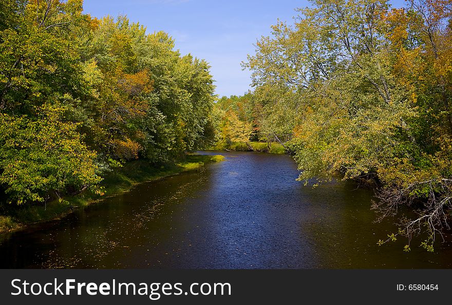 Trail of leaves on the Whiteface river in Northern Minnesota