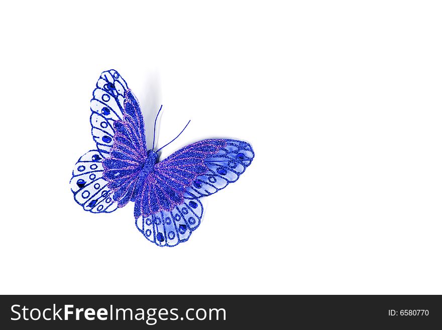 Blue butterfly isolated in white background