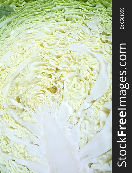 Closeup of nice green fresh sliced cabbage
