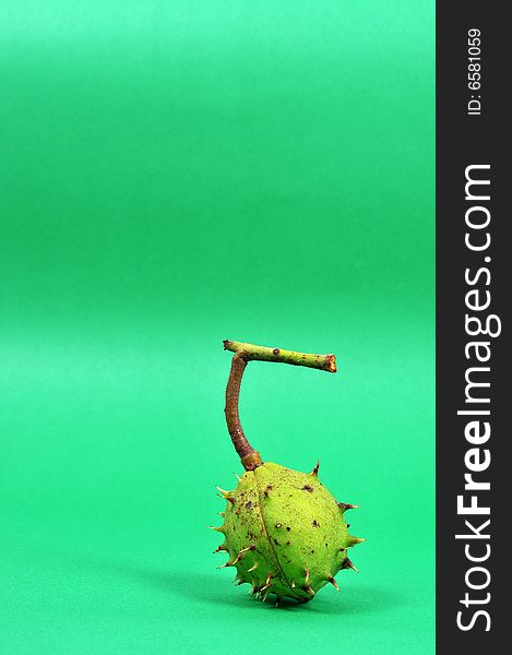 Image of a chestnut isolated on green background. Image of a chestnut isolated on green background