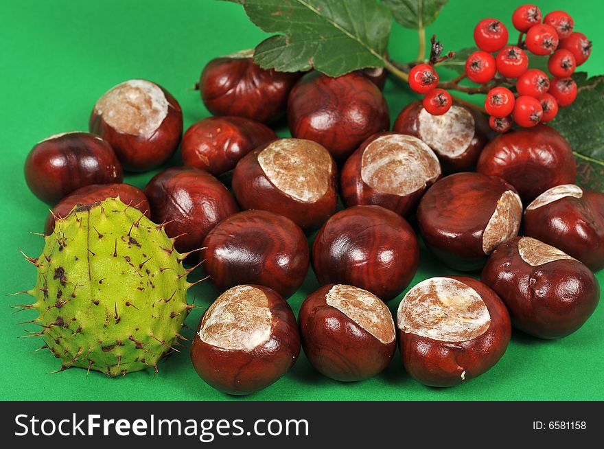 Autumn leaves and chestnuts - isolated. Autumn leaves and chestnuts - isolated