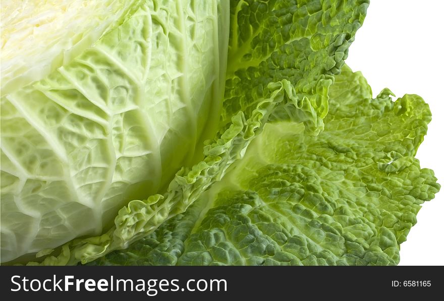 Nice fresh green sliced cabbage over white
