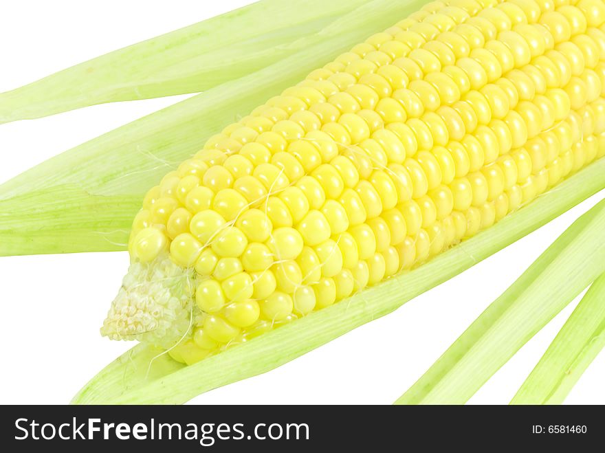Nice fresh yellow sweet corn with green leaves over white with clipping path