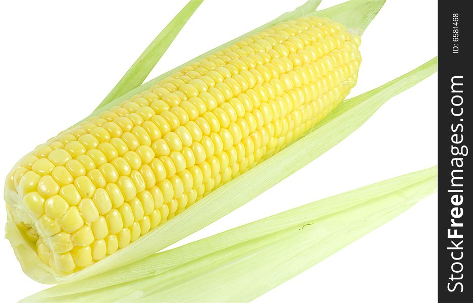 Nice fresh yellow sweet corn with green leaves isolated over cwhite with clipping path