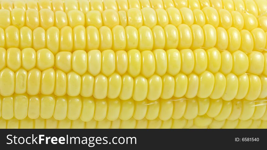 Closeup of nice fresh yellow sweet corn