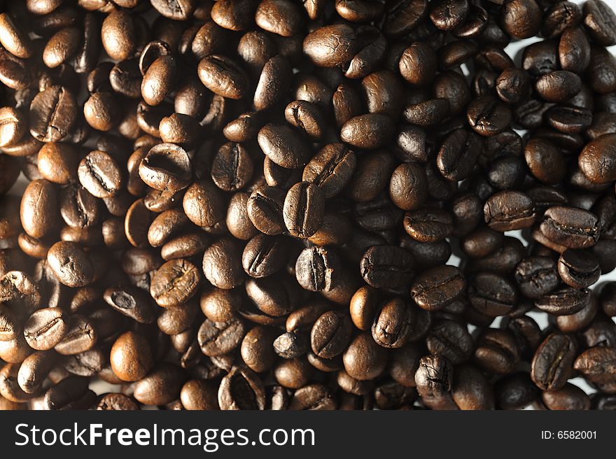 Fresh Coffee bean for Espresso machine.