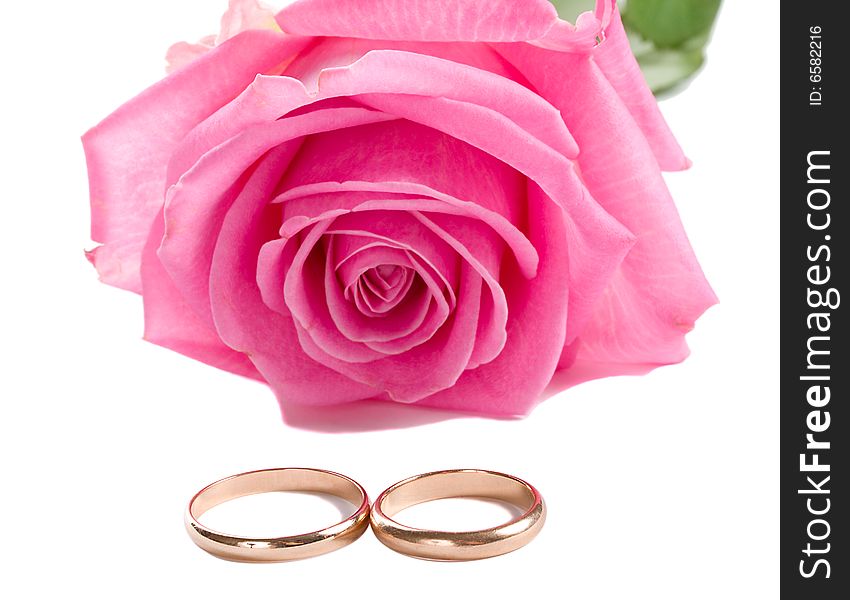 Close-up pink rose and two wedding rings, isolated on white