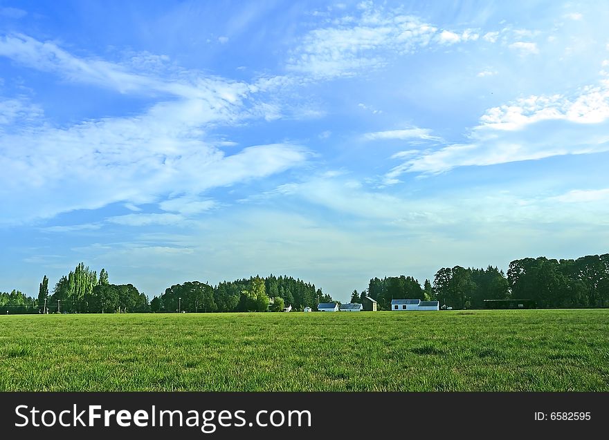 Farm field under blue sky and clouds