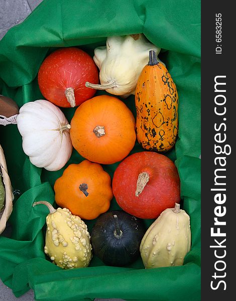 Small pumpkins of various shapes and colors
