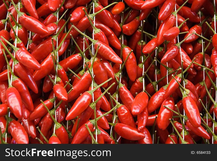 Close up of red chili peppers stacked in rows