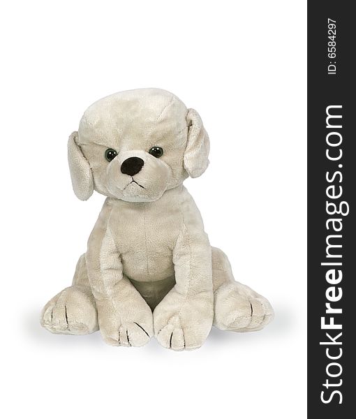 Toy a dog on a white background