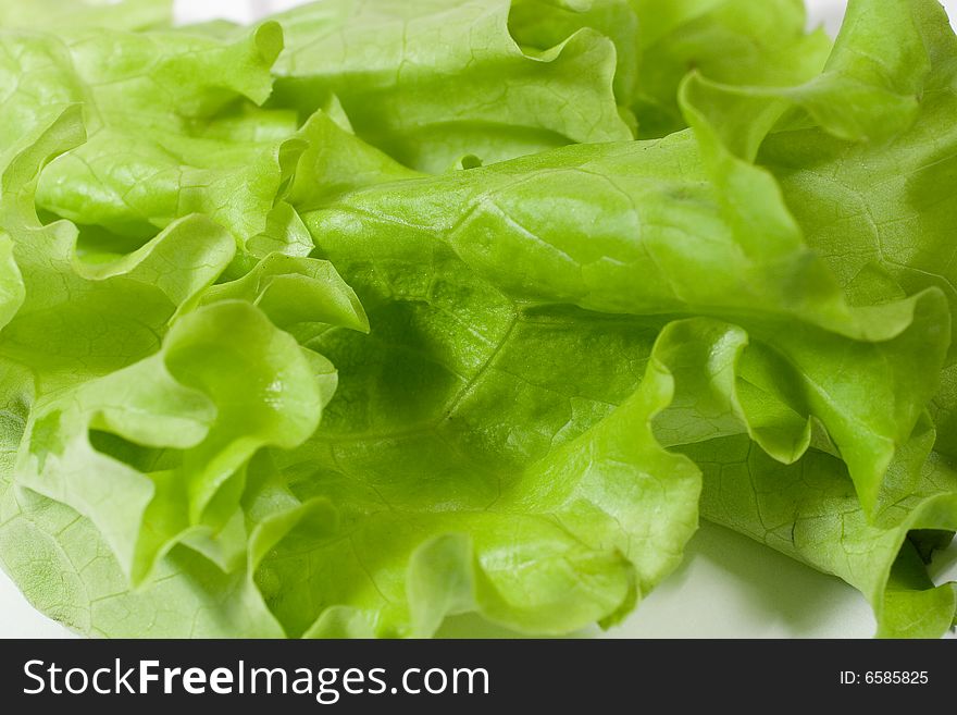 Slightly blurred lettuce leaves (as a background)