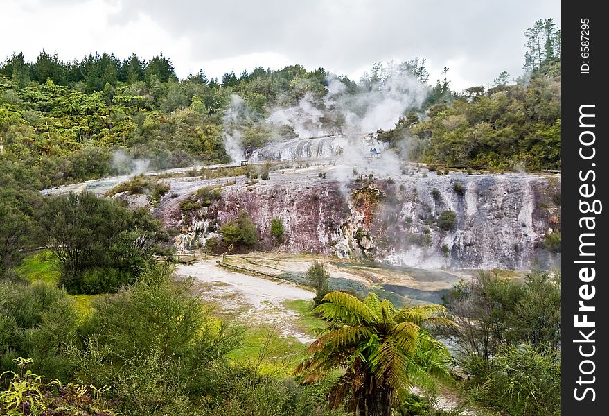 Volcanic Thermal Valley