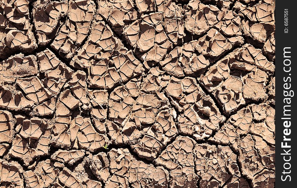 Background of a dry earth in brown color