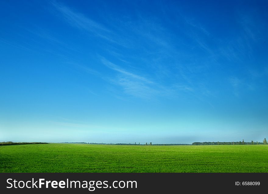 Landscape photo of meadow and sky