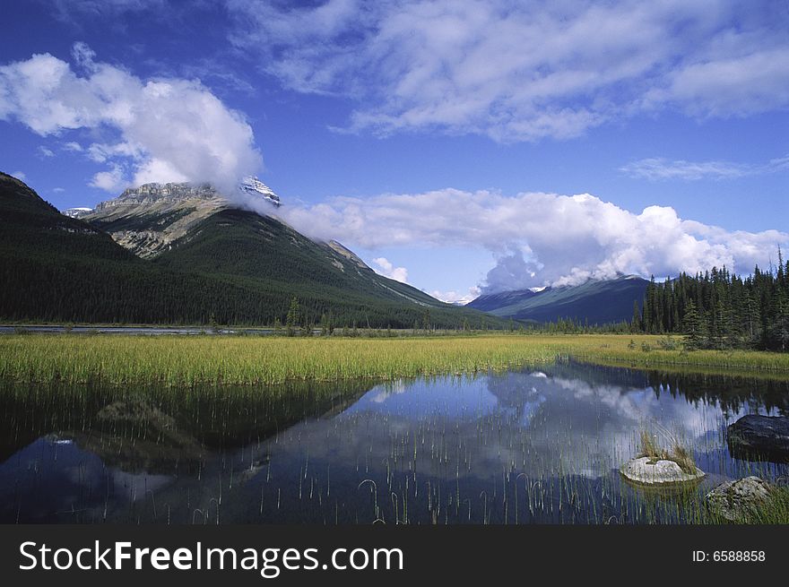 Flooded Meadow In Canadian Rockies