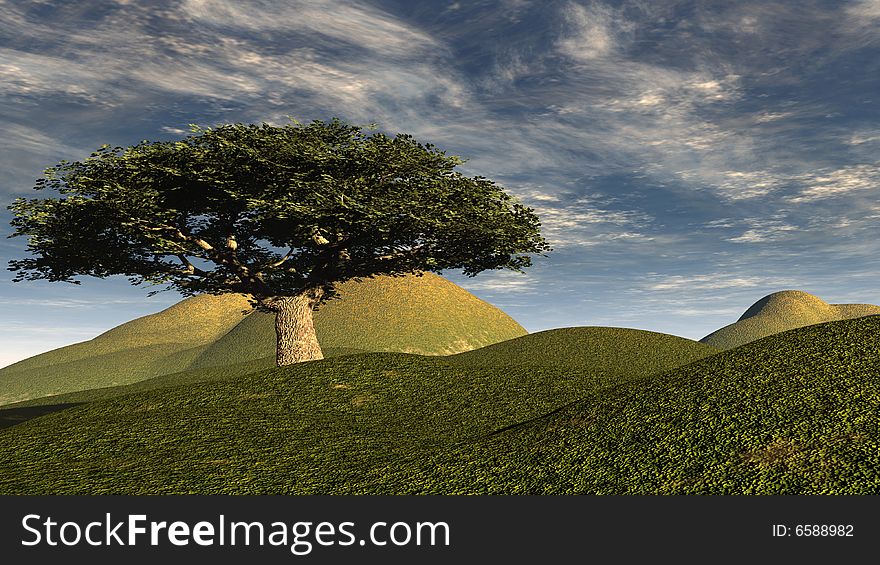 The only tree of the hills