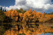 Fall Reflections Stock Photos Fall Reflections Stock Photos