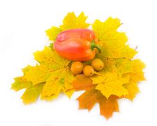 Red Sweet Pepper Royalty Free Stock Image Red Sweet Pepper Royalty Free Stock Image