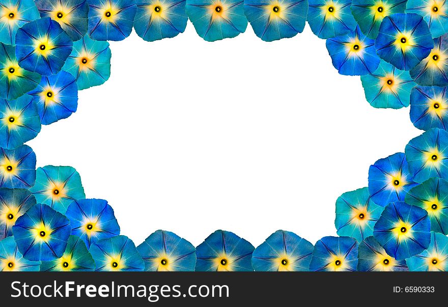 Frame from flowers on white background
