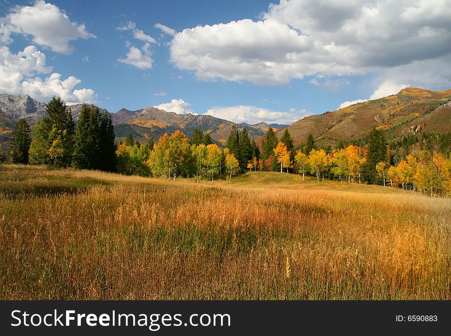 Mountain Meadow in the fall showing colors with mountains in the background. Mountain Meadow in the fall showing colors with mountains in the background