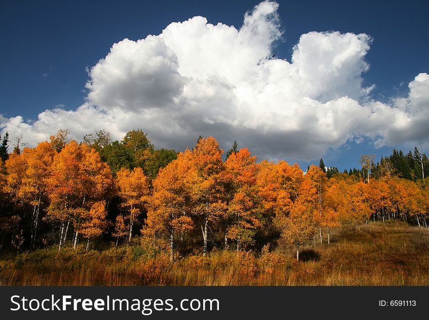 High Mountain Flat in the fall showing all the fall colors with mountains in the background. High Mountain Flat in the fall showing all the fall colors with mountains in the background