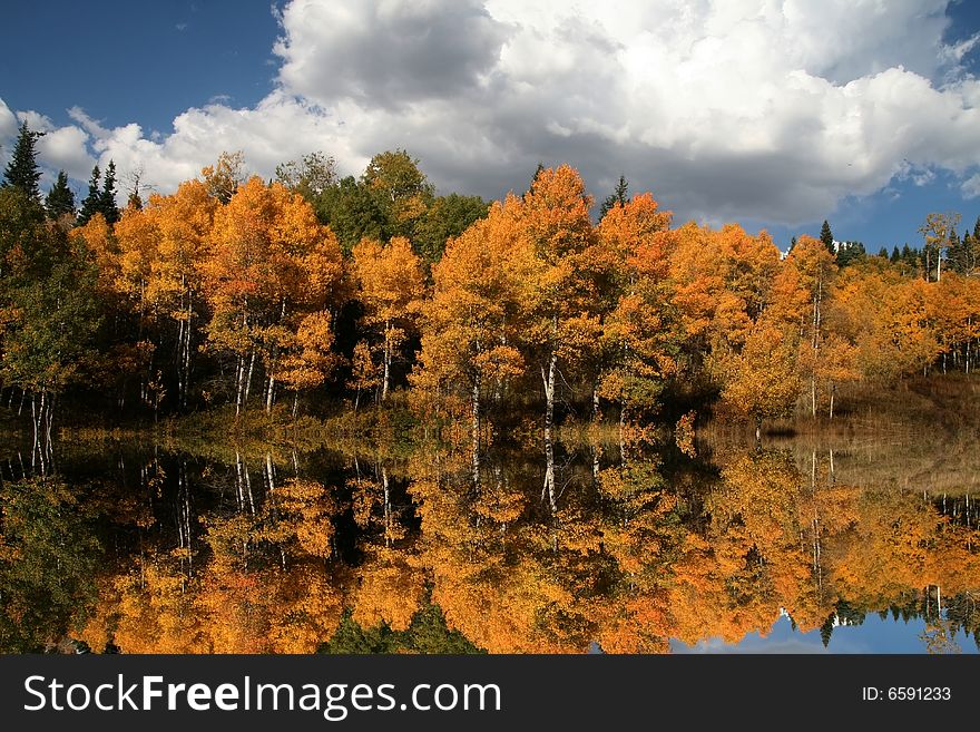 Mountain Lake in the fall showing reflections. Mountain Lake in the fall showing reflections