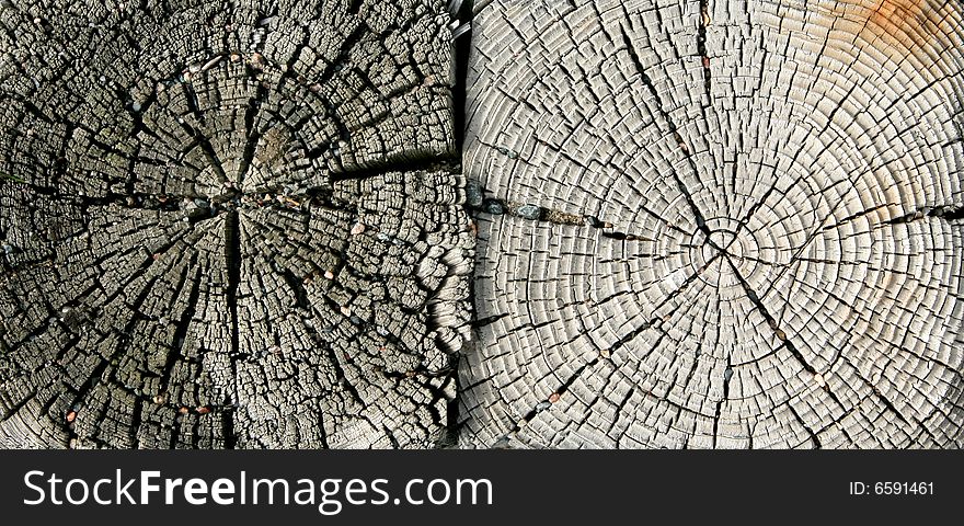 Weathered old wood showing texture. Weathered old wood showing texture