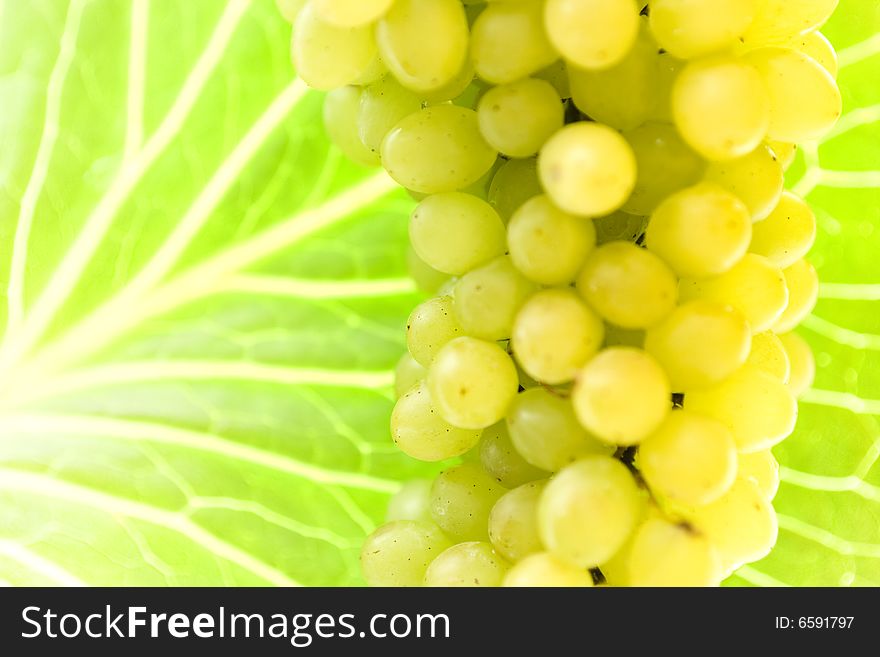 Grape cluster close up view.