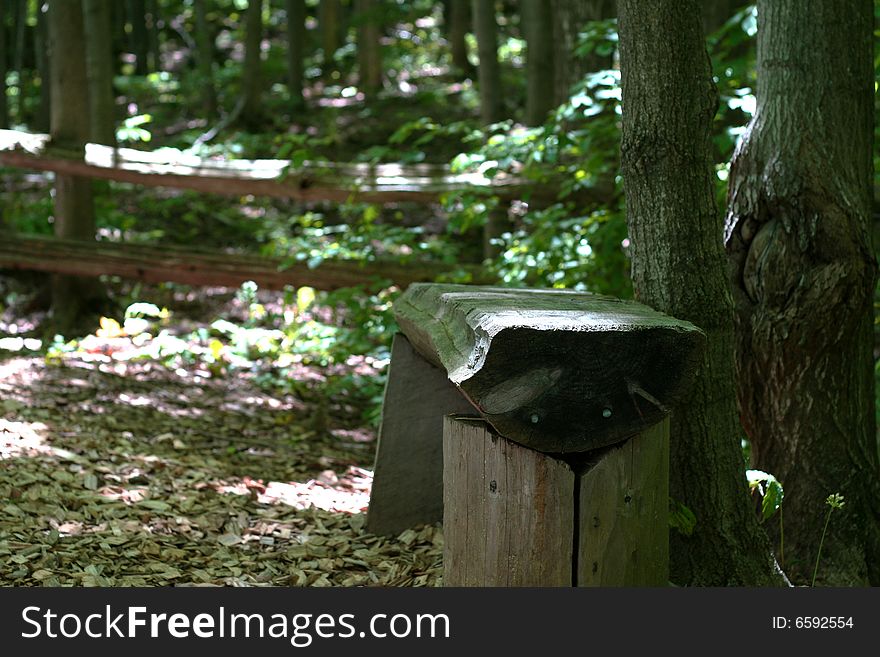 A rough hewn bench on a trail in the forest. A rough hewn bench on a trail in the forest