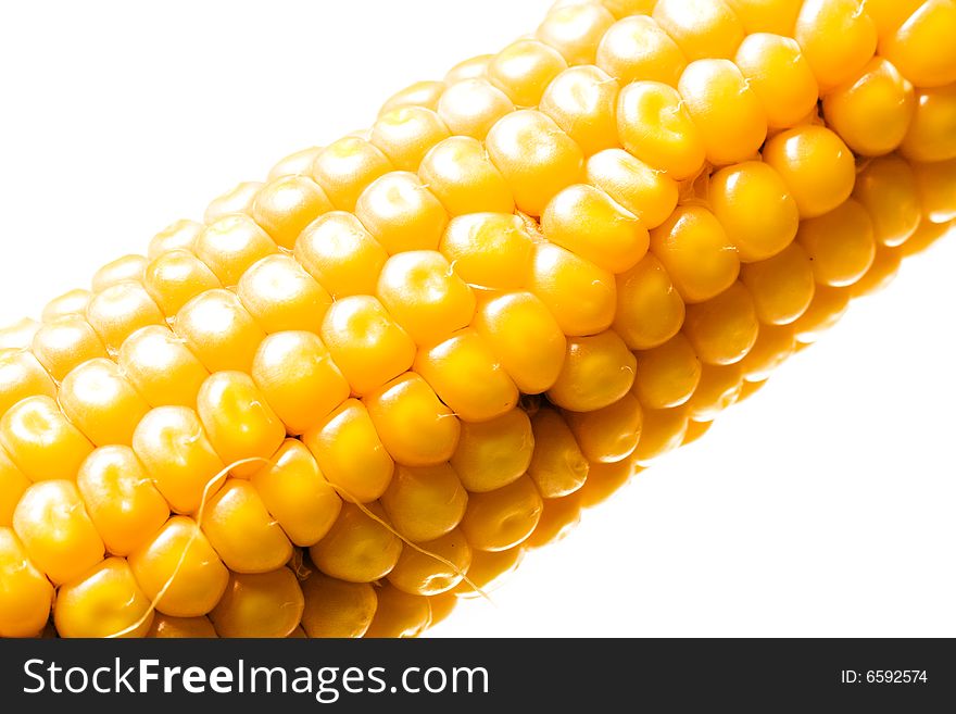 Freshly harvested corn isolated on white background. Freshly harvested corn isolated on white background.