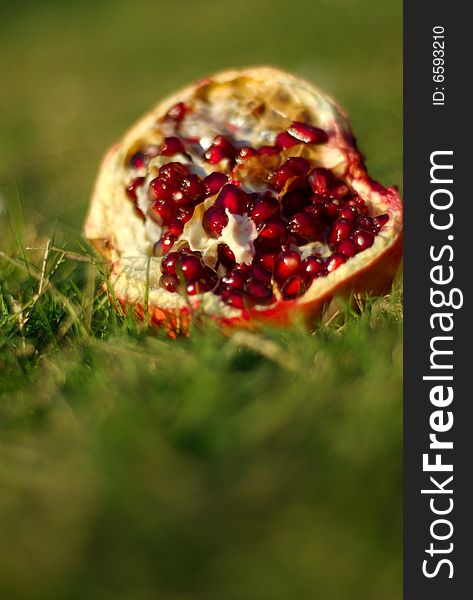 A pomegranate laying in the grass. A pomegranate laying in the grass