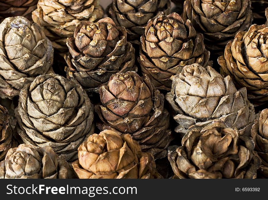 Pine cones close up background.