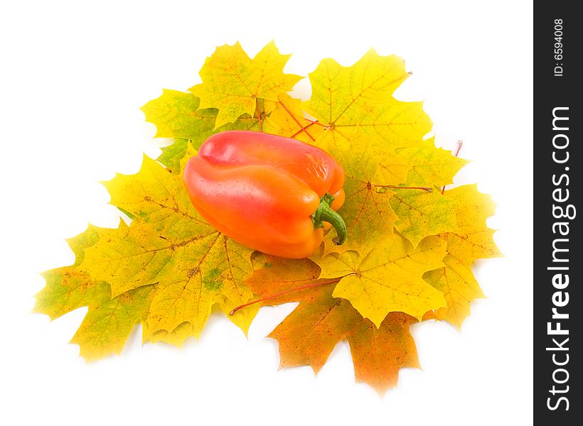 Autumn leaves of maple with red sweet pepper on white background. Autumn leaves of maple with red sweet pepper on white background