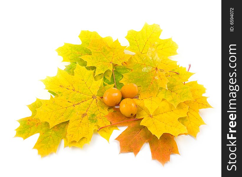 Yellow tasty plum and autumn leaves of maple on white background