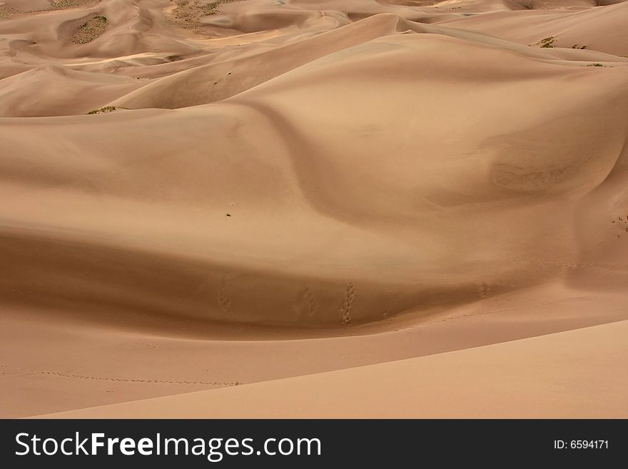 Texture shot of smooth silky waves of sand dune formation. Texture shot of smooth silky waves of sand dune formation