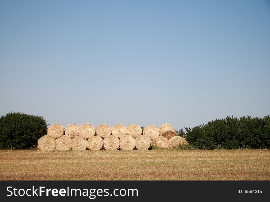 Round Bales stuck between trees in an open field. Round Bales stuck between trees in an open field