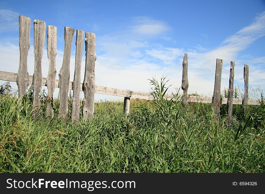 An old fence in an overgrown abandoned farmyard