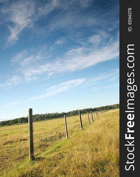 A fence stretching into the distance on the wide open prairie