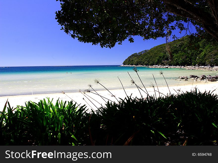 Picture was taken in Abel Tasman National park, new Zealand, . Picture was taken in Abel Tasman National park, new Zealand,