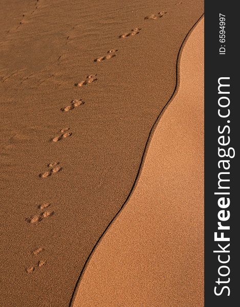 Animals traces and an edging of the sand dune. Namibia, Africa. Animals traces and an edging of the sand dune. Namibia, Africa.