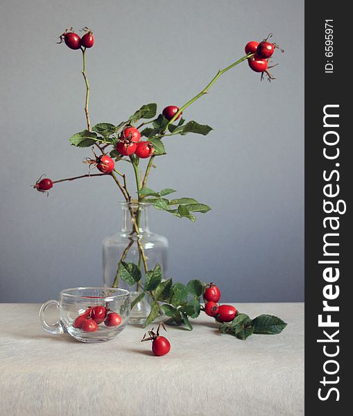 Red roses hips in glass and cup. Red roses hips in glass and cup