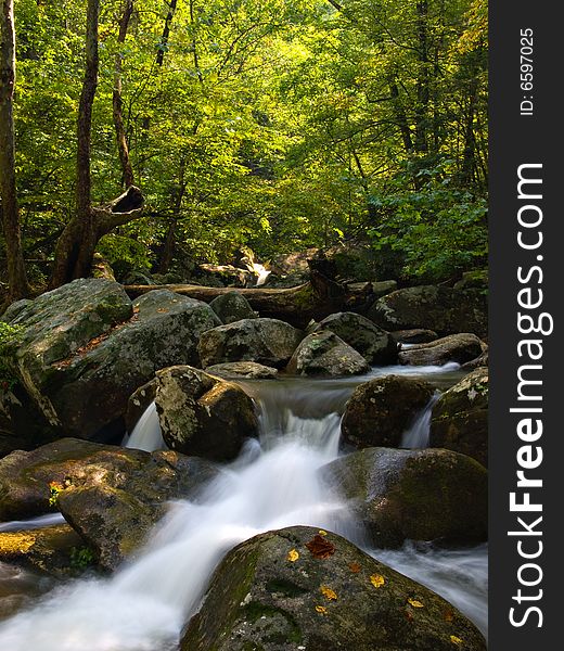 A small mountain stream at the beginning of fall